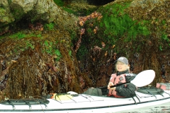 Drew2-in-BAmfield